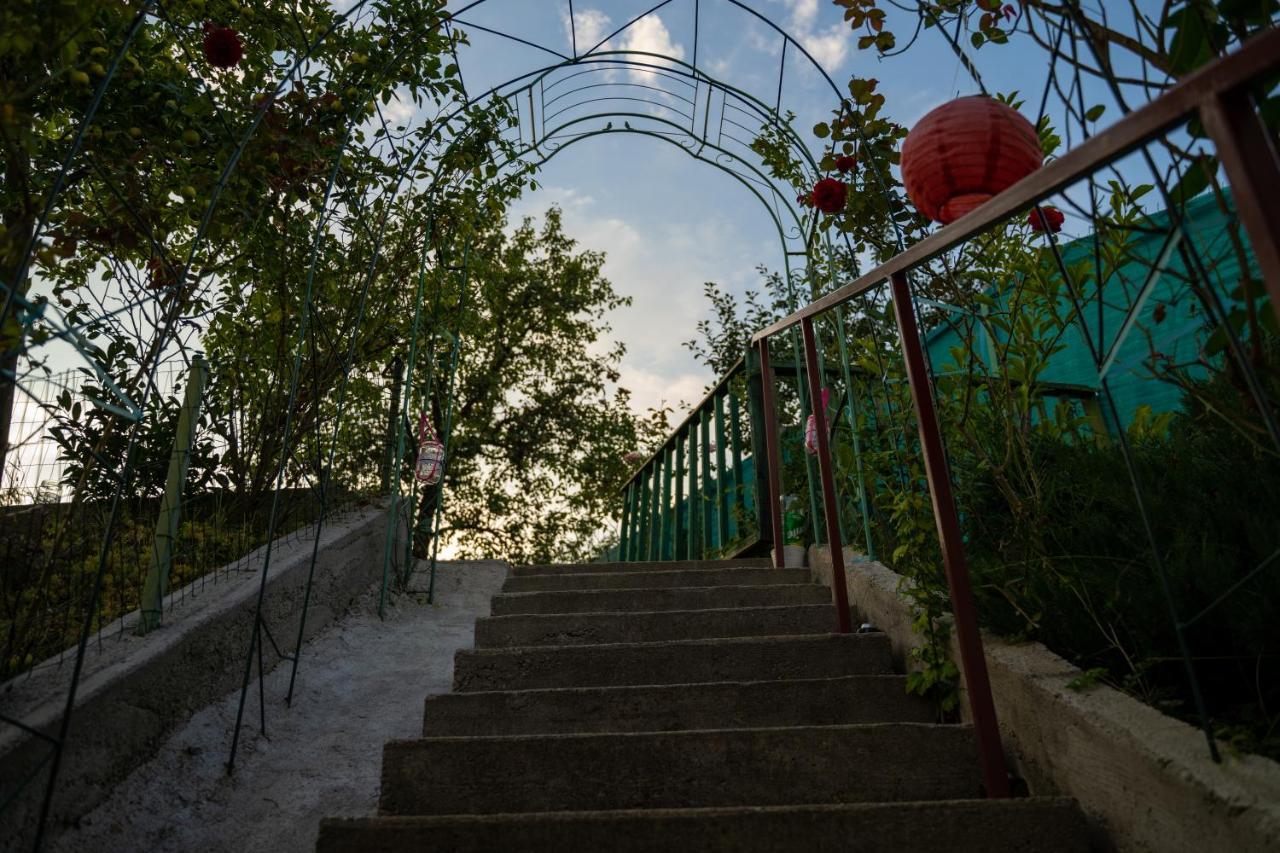Apartament Panoramic La Casa In Comuna Решинари Экстерьер фото