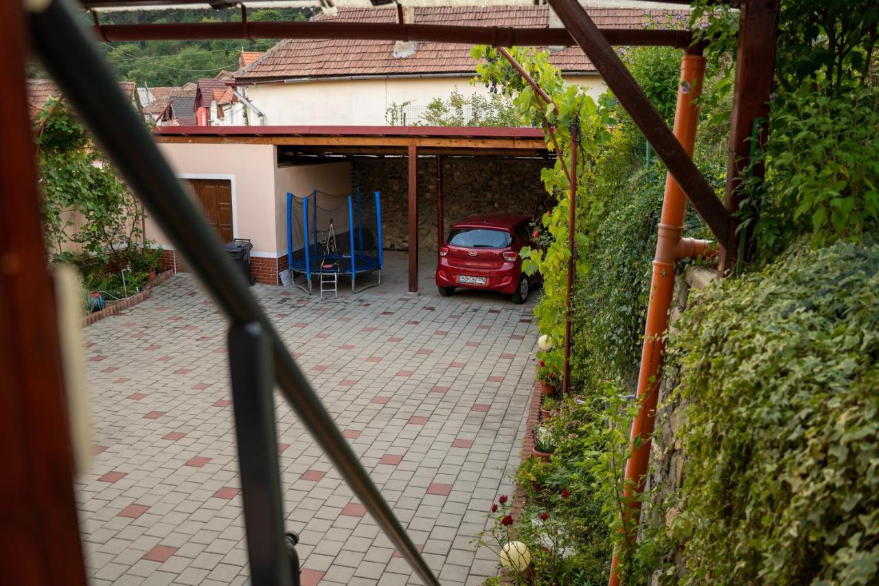 Apartament Panoramic La Casa In Comuna Решинари Экстерьер фото