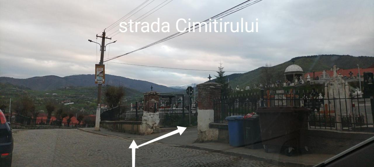 Apartament Panoramic La Casa In Comuna Решинари Экстерьер фото